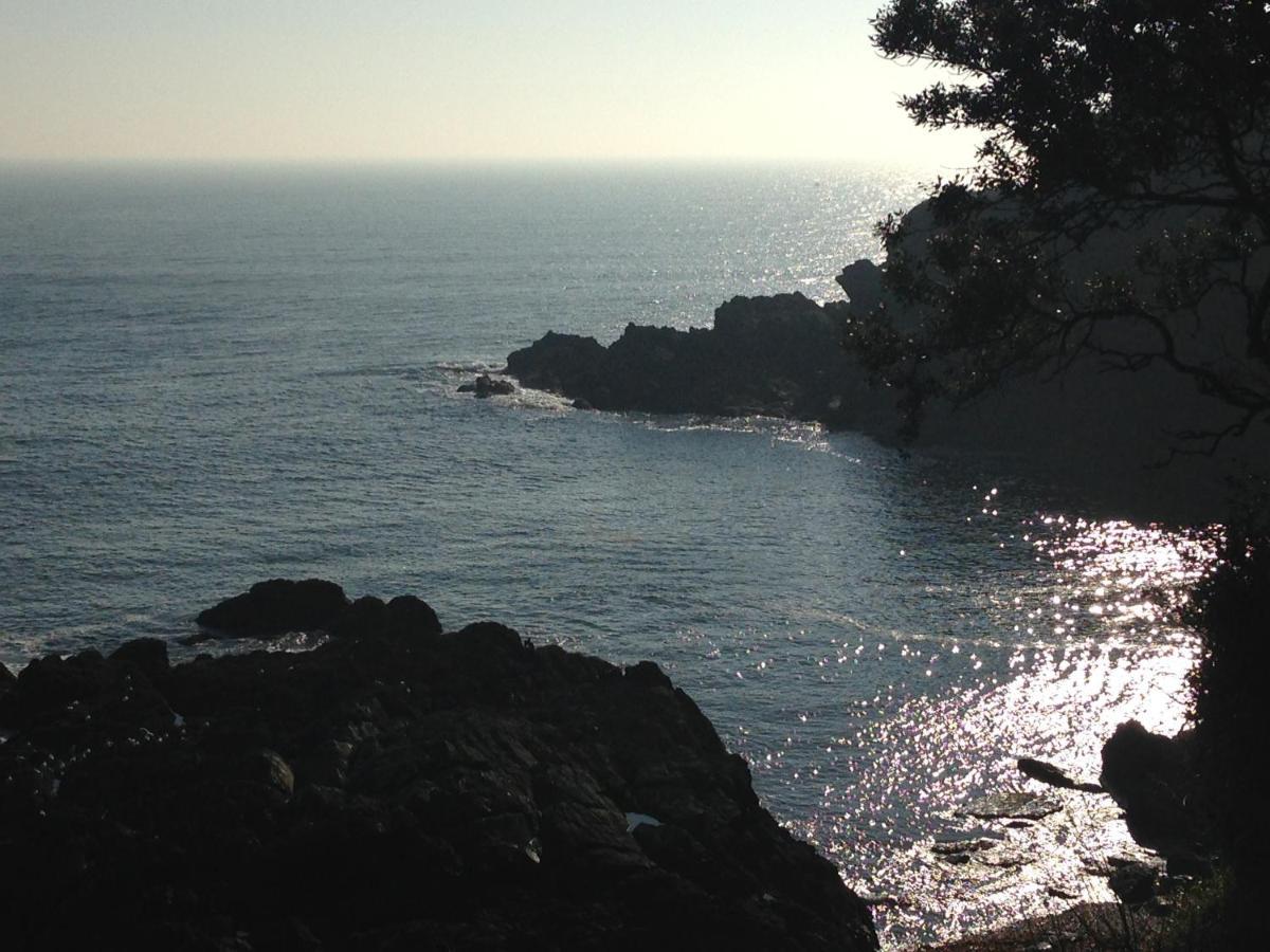 Bay View, Millendreth Looe Cornwall Villa Exterior foto